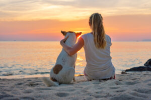 young woman sitting with her dog at the beach watching the sunset