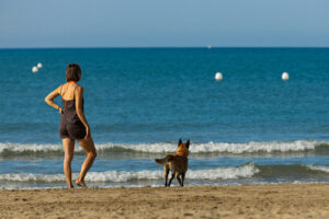 young female pet owner watching dog play on the beach