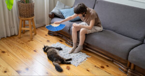 female owner fanning dehydrated cat laying on the floor of the living room